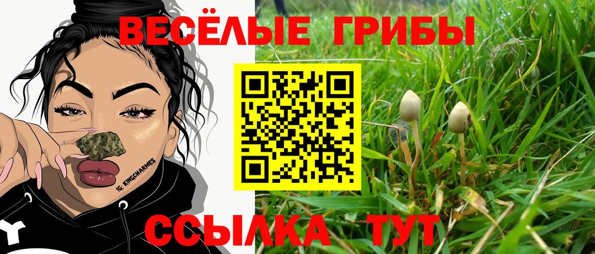 Россошь  Галлюциногенные грибы мухоморы  Вход с VPN 