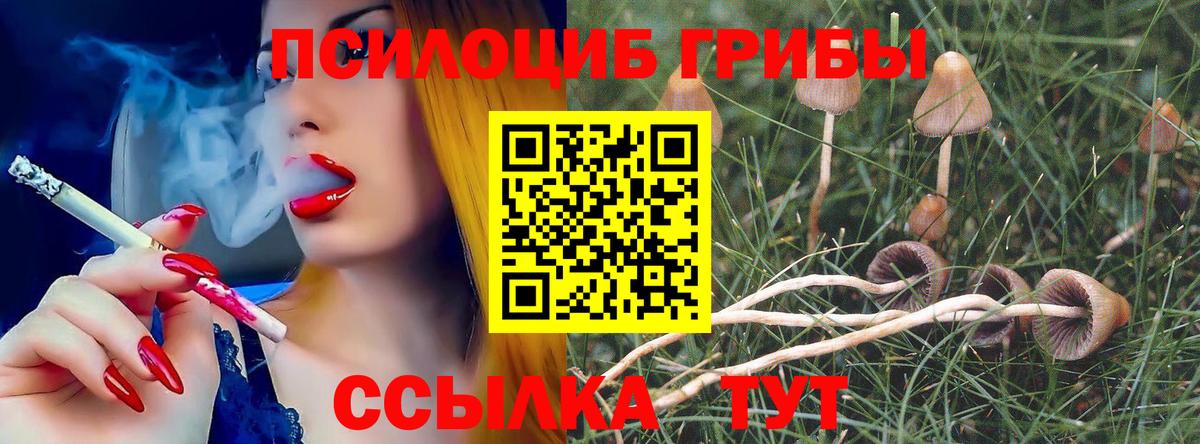 Псилоцибиновые грибы MAGIC MUSHROOMS Россошь